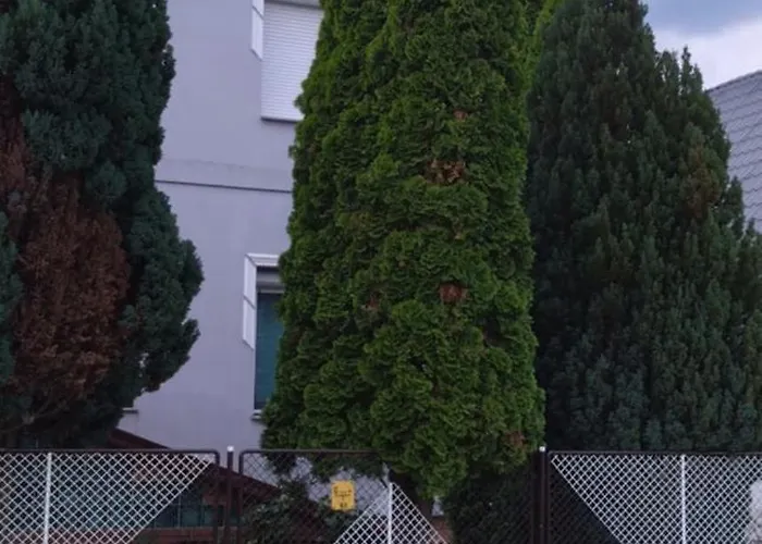 Lägenhet Manna Vendeghaz Mezőkövesd